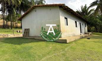 Imagem 12: Fazenda de 17 alq em Goias-GO