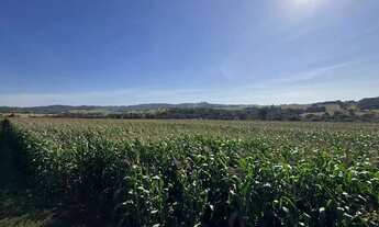 Imagem 7: Fazenda a venda - Pontalina - GO