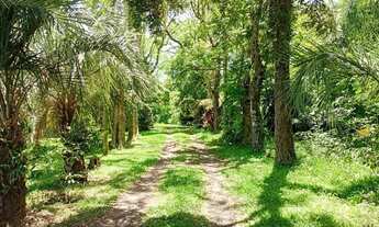 Imagem 3: Chácara à venda em Nova Santa Rita - 1,5ha de área próximo à BR-386 REF: CS0109