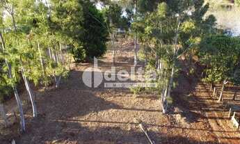 Imagem 2: Área disponível para venda 4.000 m² no bairro Área Rural de Uberlândia em Uberlândia-MG