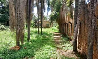 Imagem 5: Vendo chácara no morada nova 20x50 1000m2 com casa e cercada