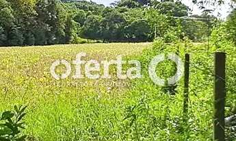 Imagem 6: OFERTA 1479 - CHÁCARA EM ARAUCÁRIA