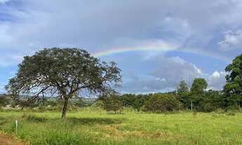 Imagem 7: Reserva Olhos dÁgua - GO - Casa de campo