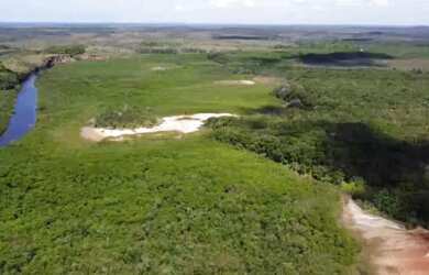 Imagem 7: Vendo excelente Fazenda no município de Jaguaripe