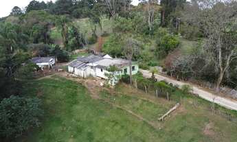 Imagem 7: Chácara urbana Campo Largo, Sereia/Rondinha, 12.557m²,casa caseiro, asfalto, 20 min Parque