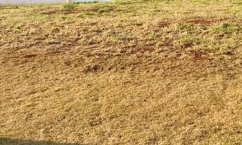 Imagem 3: Condomínio Tamboré Uberlândia, Terreno com 383,49m², próximo ao Clube e à Portaria