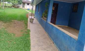 Imagem 3: Chácara no interior de campo largo ,1 alqueire