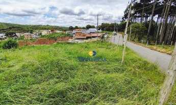Imagem 5: Terreno à venda, 376 m² por R$ 300.000,00 - Planta Santa Tereza - Colombo/PR