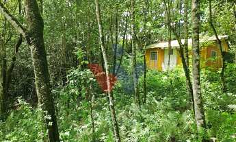 Imagem: Terreno urbano de 11.000 m com nascente