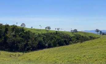 Imagem 5: Fazenda à Venda 308 Alqueires São Luís de Montes Belos - GO