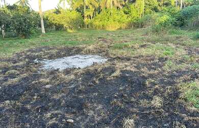 Imagem 4: Terreno pra sítio