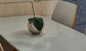 Imagem 5: APARTAMENTO NO PARQUE DOIS IRMÃOS