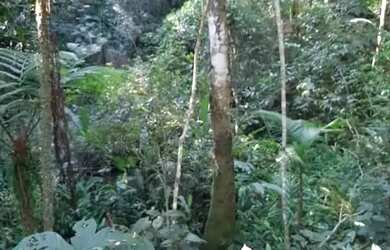 Imagem 2: Terreno 18 mil metros