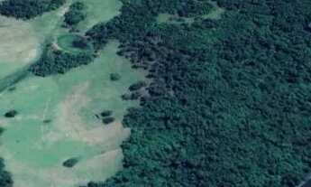 Imagem: Oportunidade - Sítio excelente com 3,5