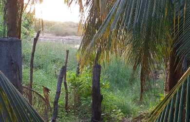 Imagem 4: Vendo casa no Icaraí Caucaia pra reforma