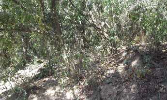 Imagem 6: São Sebastião do Campinho. Linda chácara de 6.500 m. WhTSApp * Guilherme