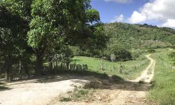 Imagem 6: Fazenda em Dario Meira