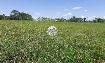 Imagem 4: Vale do Paraíso - Sítio - 25 alqueires proximo da cidade