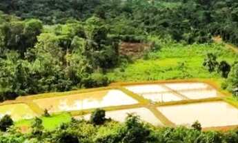 Imagem: Vendo Piscicultura peixe Du bom km 146 BR