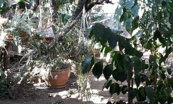 Imagem 3: Residencial - Vl Brasilia