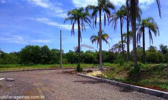 Imagem 6: Terreno no bairro Berto Cirio em Nova Santa Rita REF: G2807