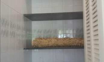 Imagem 4: Casa com 3 dormitórios à venda, 365 m² por R$ 2.800.000,00 - Condomínio Jardim Paulista I