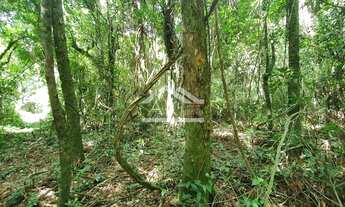 Imagem 3: Área de terras com potencial de vista em Picada Café na serra gaúcha