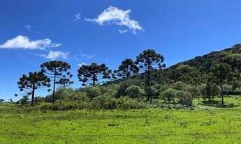 Imagem 6: Área Rural com 30,00ha de área total, para venda. Jararaca, Urubici (SC