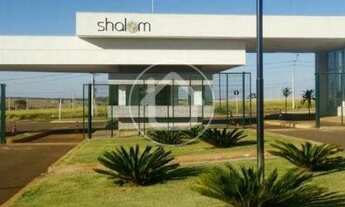 Imagem 2: CASA TERREA - SHALOM