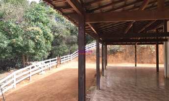 Imagem 2: FAZENDA 13 HECTARES