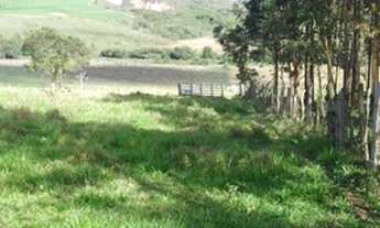 Imagem 4: Terreno 10 Hectares em Passa Tempo Fartura de Agua