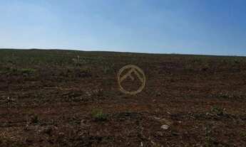 Imagem 5: Fazenda à venda, 677600 m² por R$ 8.500.000,00 - Centro - Nova Aurora/PR