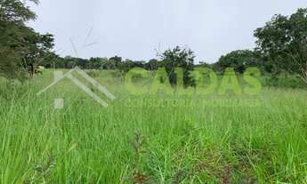 Imagem 5: Fazenda/Sítio/Chácara para venda com 1,2 alqueire Goiás