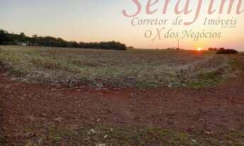 Imagem 2: Sítio 8 alq. com aprox. 7 alq. mec