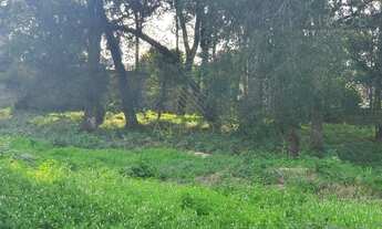 Imagem 2: Terreno Amplo Ótimo Para Condomínio De Sobrados ou Apartamentos, à venda 2750M² Estuda Per