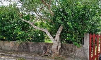 Imagem: FORTALEZA DA BARRA