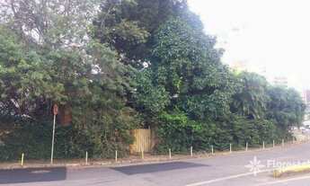 Imagem 3: Terreno á venda em Jardim Apipema