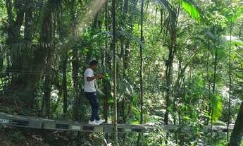 Imagem: 10 mil mts com inscidencia de fauna