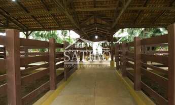 Imagem 2: EXCELENTE FAZENDA : PARA INVESTIDORES ....