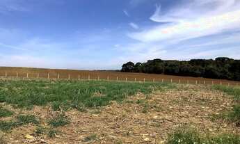 Imagem 2: Lapa - 433Hectares - Plantio 100 alqueires