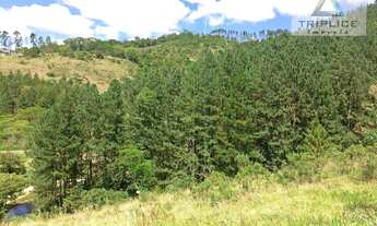Imagem 3: Terreno residencial à venda, Salvaterra, Juiz de Fora