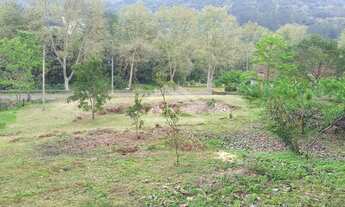 Imagem 4: Amplo terreno com frente para a BR 116 em Picada Café na serra gaúcha