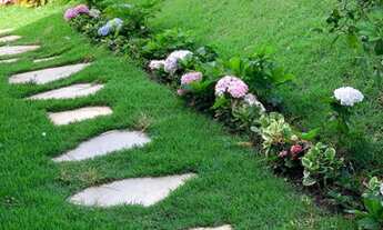 Imagem 7: Fazenda Passa Tempo - 55 Hectares