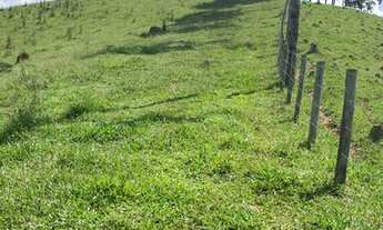 Imagem 5: G15- Vendo terreno para sitios e chacaras!!