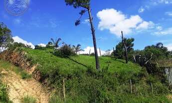 Imagem 5: FLORIANóPOLIS - Padrão - Tapera da Base