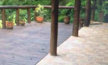 Imagem 3: Lindíssima casa de 250 m2 junto à uma natureza exuberante em Santo Antônio do Pinhal-SP