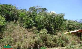 Imagem 6: Terreno com 1.6 ha