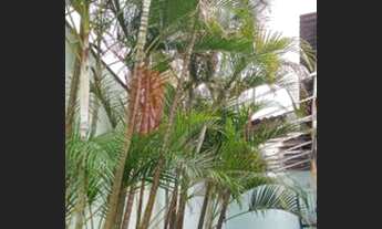 Imagem 6: Sobrado em vila para venda