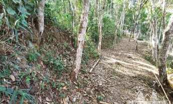 Imagem 6: Terreno Residencial- Petrópolis, Itaipava