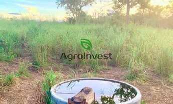 Imagem 7: Fazenda em Peixe -TO